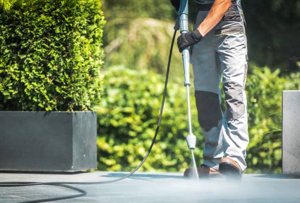Best Gutter Cleaning  in Cologne, NJ